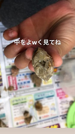 拾って来た水晶